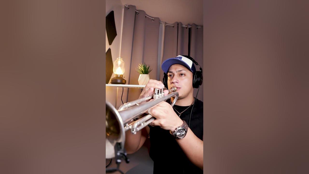 @TimmyTrumpetTV #narco #tomorrowland #trumpet #trumpetplayers #viralsong #viralshorts #trumpetvine @TimmyTrumpetTV #narco #tomorrowland #trumpet #trumpetplayers #viralsong #viralshorts #trumpetvine