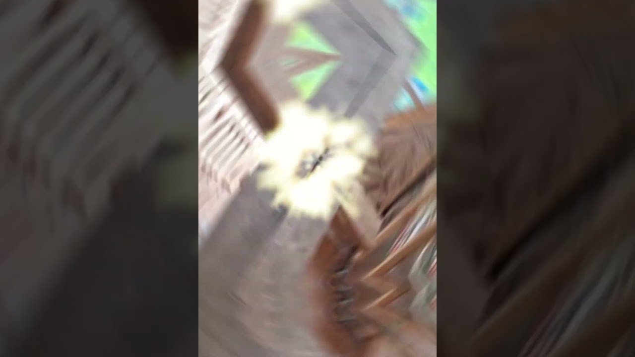 The dog watches the fastening of the imitation bar (Собака наблюдает за креплением имитации бруса)