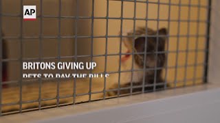 Britons giving up pets to pay the bills
