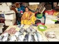 Tikrapara Machli Bazar | Nandi Chowck Tikrapara Raipur #holispecial #thedhruwshow