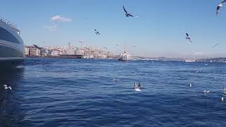 Unutmak İstiyorum (Ufuk Çalışkan)