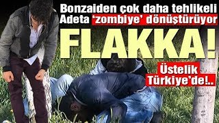 Zombi Hapı Flakka Türkiyede Yer Mersin 2017