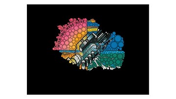Circle Packing Algorithm