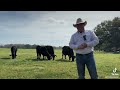 Commodity classic interview with brandon cutrer owner of brc ranch