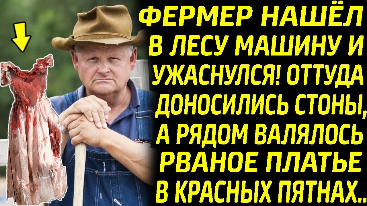 Из машины ost