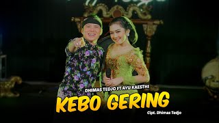 Kebo Gering - Dhimas Tedjo Feat Ayu Kaesthi -
