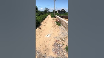 Plot for sale in bihta Patna #plotforsale #commercialarea #property #commericalplots #plotinbihta