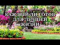 КАЖДЫЙ ЛИ ГОТОВ ДЛЯ ЛУЧШЕЙ ЖИЗНИ