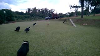 WP 20150120 003
