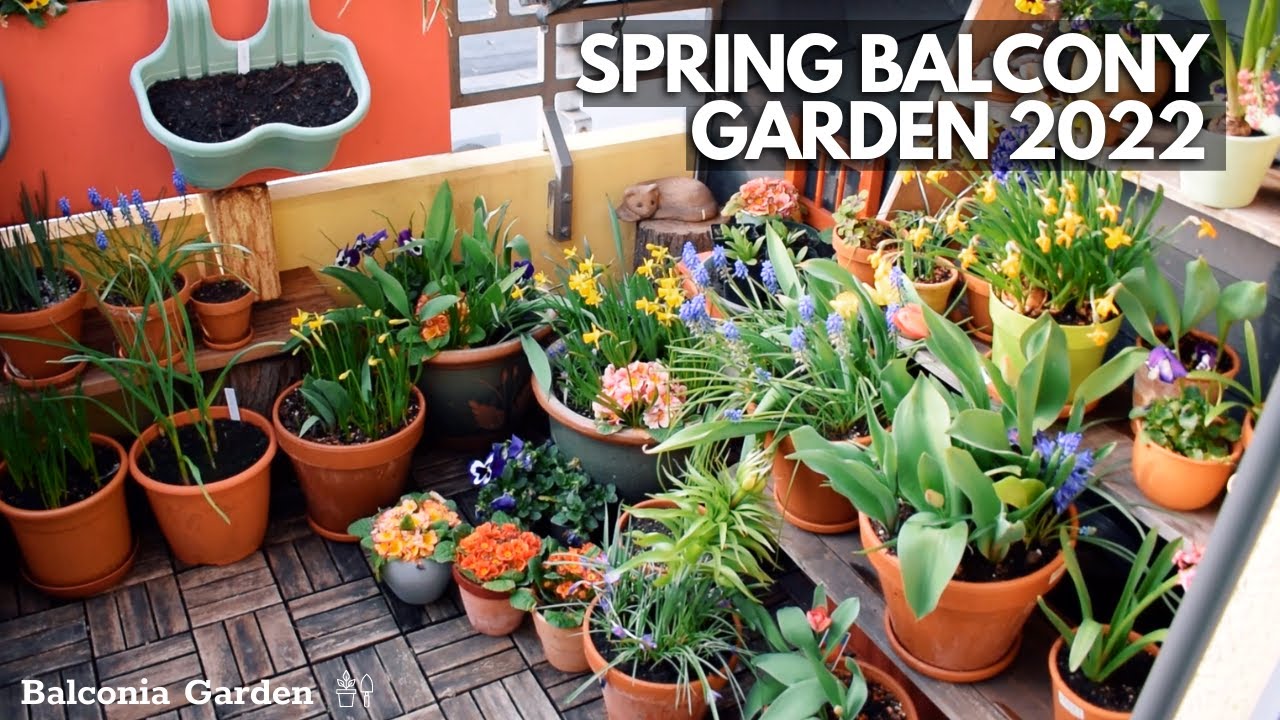 Spring Balcony Garden Tour 2022! Balconia Garden