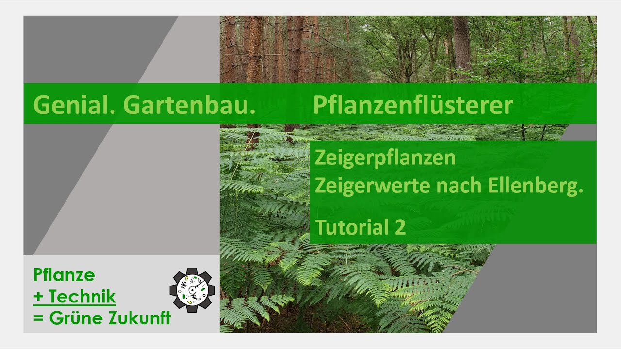 „Pflanzenflüsterer“ | Zeigerpflanzen. Zeigerwerte nach Ellenberg. | Tutorial #2