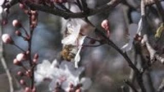 Hottest Uk Day In February On Record