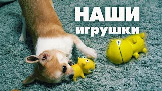 ИГРУШКИ ДЛЯ СОБАКИ МЕЛКОЙ ПОРОДЫ🐶ЧИХУАХУА ЛИЗИ