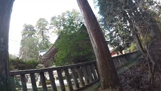 鬼の霊木と竜宮たる比叡山延暦寺の水神 酒呑童子 - WisdomMingle.com