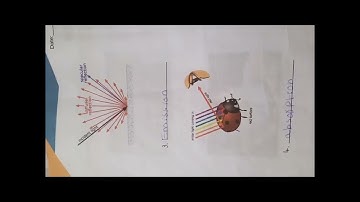 allied School Science//Activity 10 & 17 // Complete Solved Summer pack Grade 7