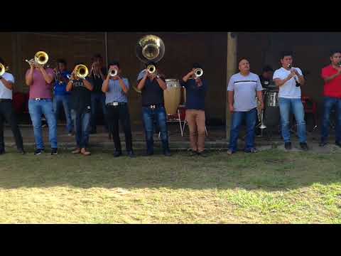 Arriba El Roble - La Picosa Hernández Banda (Instrumental)