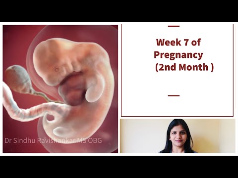 Week 7 of Pregnancy - Weekly Pregnancy Signs and Symptoms in Kannada!!