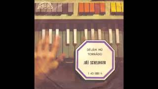 Jiří Schelinger - Dělám hů