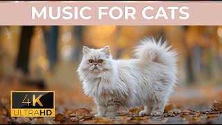 24/7 LIVE: Cat TV for Cats to Watch  Cute Cats 4K