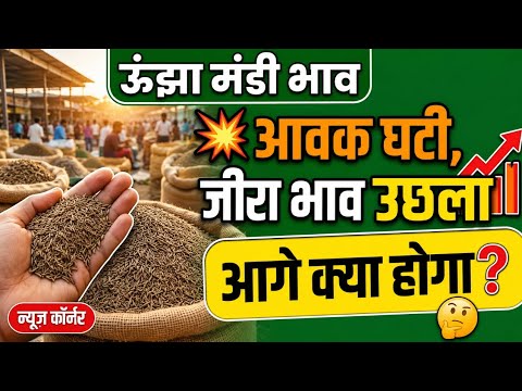 ऊंझा मंडी से बड़ी खबर!  जीरा में तेजी शुरू? | आज का विश्लेषण | the young kisan 