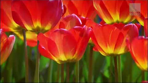 Thomas Andrew Henschke from 3510 Beverly Ln, Navy Sup Dpt, PA 17050