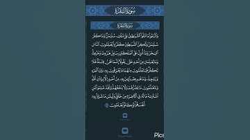 سورة البقرة (آية ١٠٢) / ياسر الدوسري