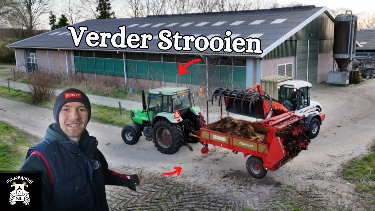 Het Strohok ook Uitmesten en Strooien