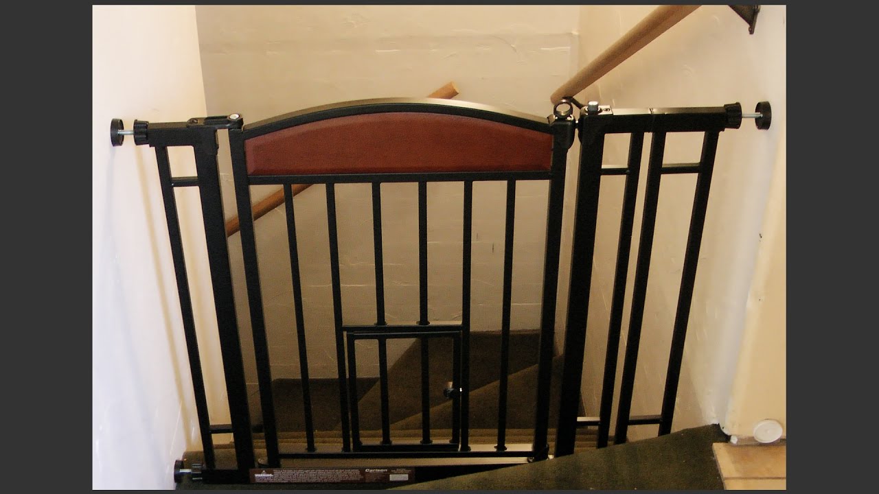 baby gates with pet doors for stairs