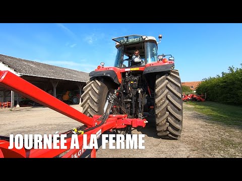 A day on the farm