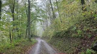 Jeep JL on the Heintooga Round Bottom Road in The Smokies