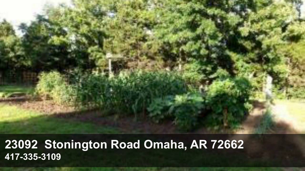 23092 stonington rd, omaha ar home for sale YouTube
