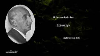 Video thumbnail of "Bolesław Leśmian - Szewczyk"