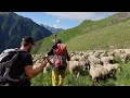 Une journée dans la vie de Pierre Berger en Montagne. Couper du Monde sans réseau 🐑