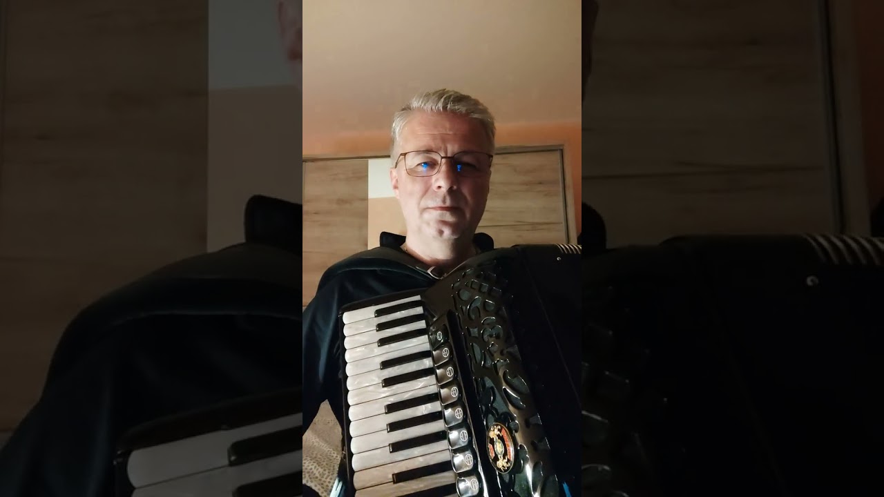 Fisart harmonika, Oj djevojko pod brdom, cover
