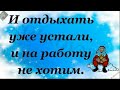 Вот и праздникам капец! Почему после старого Нового года...