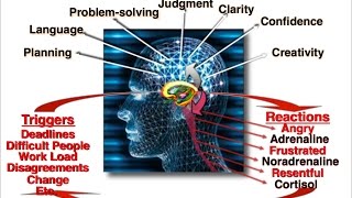 The SCIENCE of Self Determination