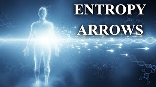 Entropy Arrows Why Time Only Moves Forward screenshot 2