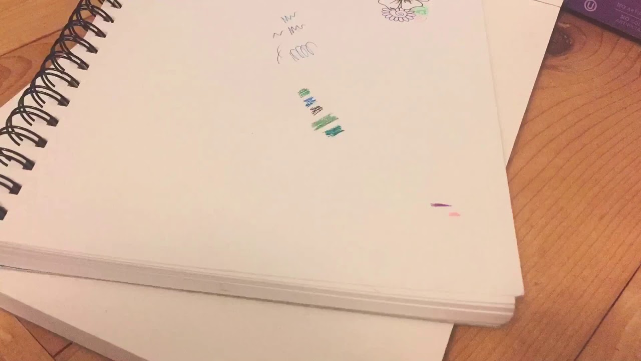 cactus drawing-inking and coloring