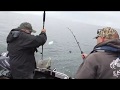 Sequim Halibut fishing June 2020
