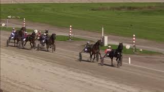 Vidéo de la course PMU PRIX BEIJK CATERING