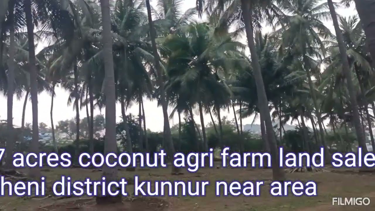 7 acres coconut agri farm land sale theni district kunnur near