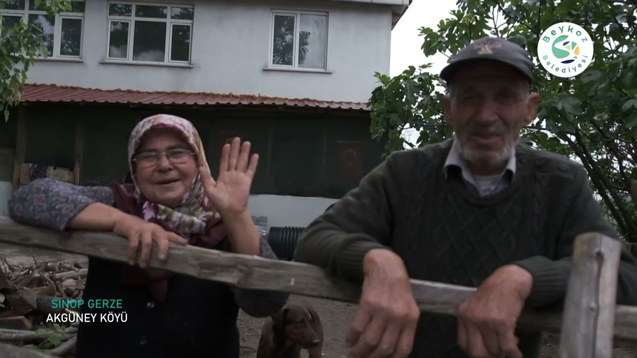 BEYKOZ'UN RENKLERİ: SİNOP GERZE AKGÜNEY KÖYÜ