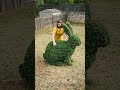 DIY Genius Garden Decor: Backyard Project Ideas 🌸