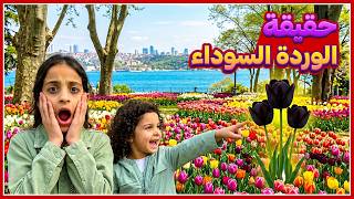 ضعنا بين ملايين الزهور في قلب اسطنبول، واكتشفنا سر خطير بالصدفة