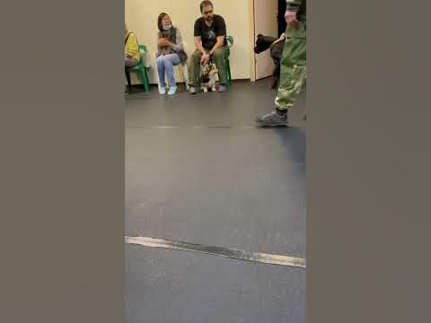 ШКОЛА для ШЕЛБИ 😂😂😂😂 - YouTube
