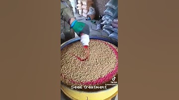 seeds inoculation #seedtreatment