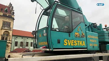 Jak zlikvidovat strom?