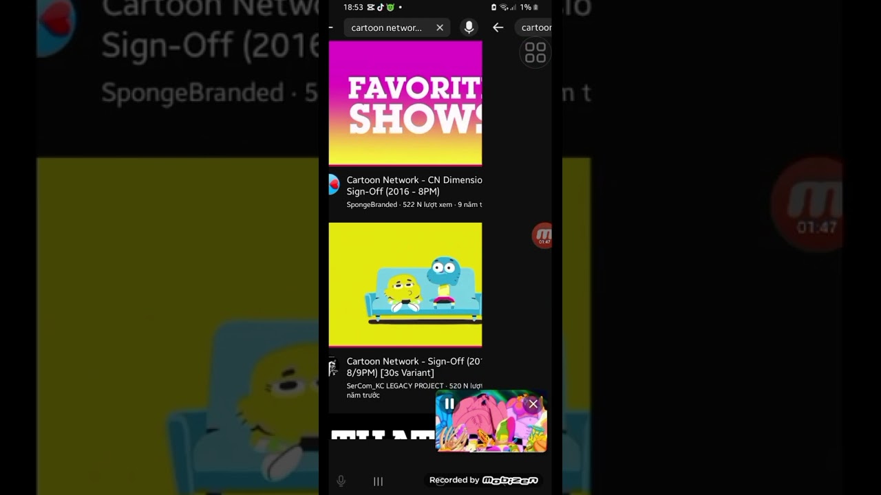 Cartoon Network Sign On Adult Swim Sign Off