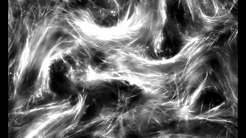 Bundled Active Network of Microtubules