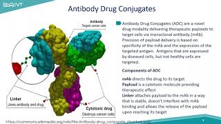 Safety Considerations for the Development of Antibody Drug Conjugates